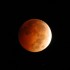 The College of DuPage Astronomy Club with instructor Joe DalSanto captured the total lunar eclipse on Oct. 8, 2014.