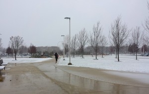 Slush blankets the sidewalks at College of DuPage's main campus on Nov. 24, 2014. 