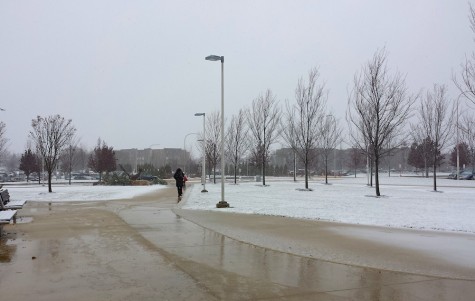 Slush blankets the sidewalks at College of DuPage's main campus on Nov. 24, 2014. 