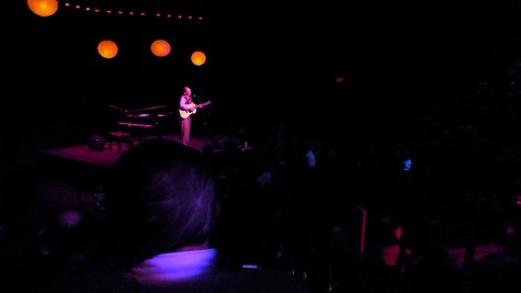 Livingston Taylor playing guitar to the relaxed audience at the Playhouse Theatre in College of DuPage on Nov. 14, 2014. 