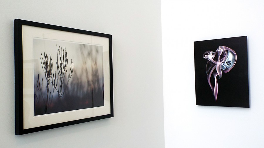 The pieces “Silhouette Glow” by Dee hudson (left) and “Apparition” by Lorae Mundt (right) at the Wings Student Art Gallery in the College of DuPage on Jan. 28. These and many other pieces will be here until Feb. 27, 2015. 