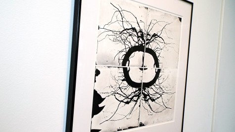 The piece “Roots #15” by Patsy R. Davis at the Wings Student Art Gallery in the College of DuPage on Jan. 28. 