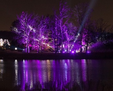 Morton Arboretum Illuminations Lighting Display