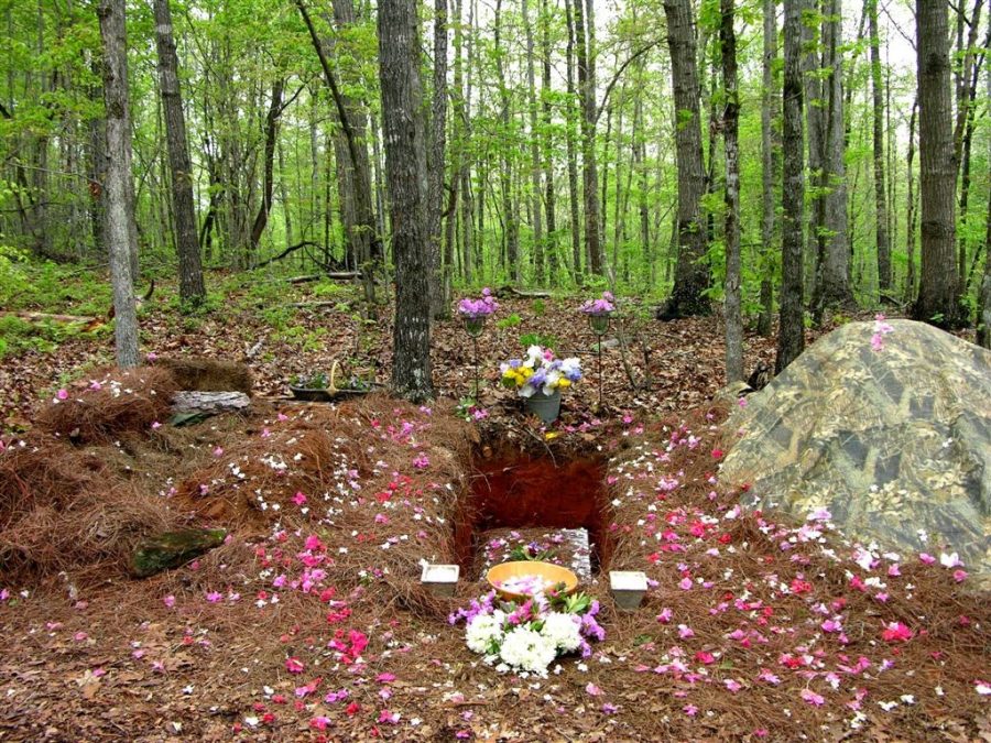 Photo provided by Marion Friel: Amongst other requirements, a true green burial contains no cement grave-lining and no traditional headstone. Immersed in nature, the burial comes to represent a celebration of the individuality of the deceased. 