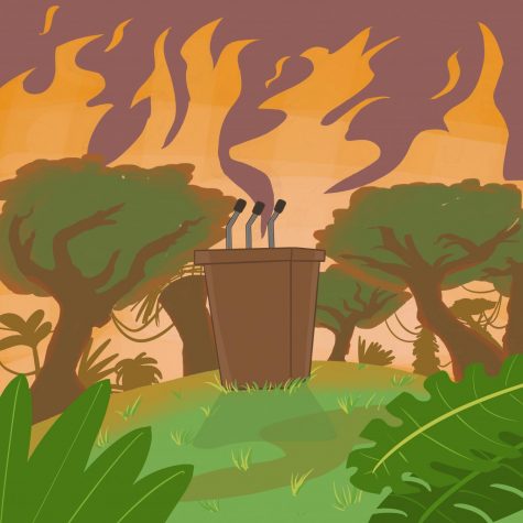 Why is the Amazon rainforest really burning?