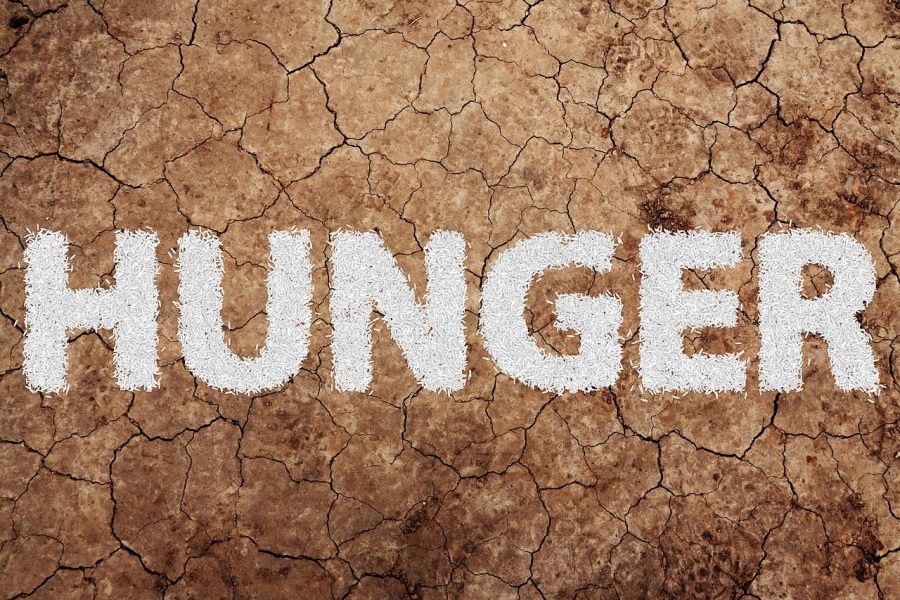 OPINION: The low-cost steps the government could take to ease hunger on college campuses