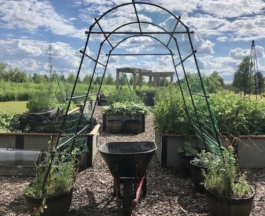 CODs Fuel Garden, pictured above. Courtesy of Ana Vitek, Fuel Garden manager.