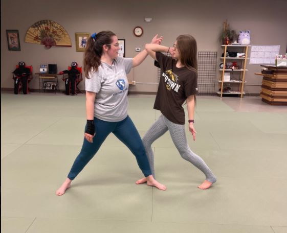 Local Martial Arts Studio Owner Offers Ladies Self-Defense