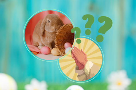 Do Bunnies Lay Eggs? - Why Is There an Easter Bunny If Rabbits Do Not Lay  Eggs?