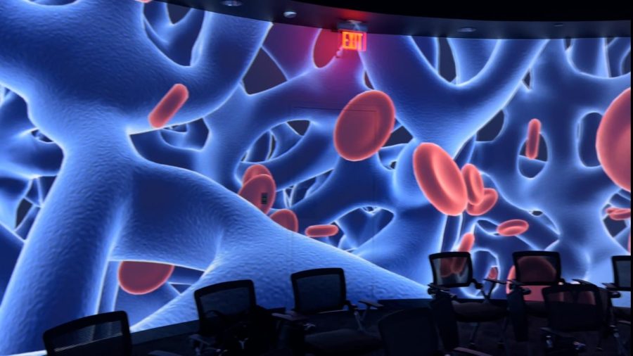 Inside the human body from the Immersive Reality Lab