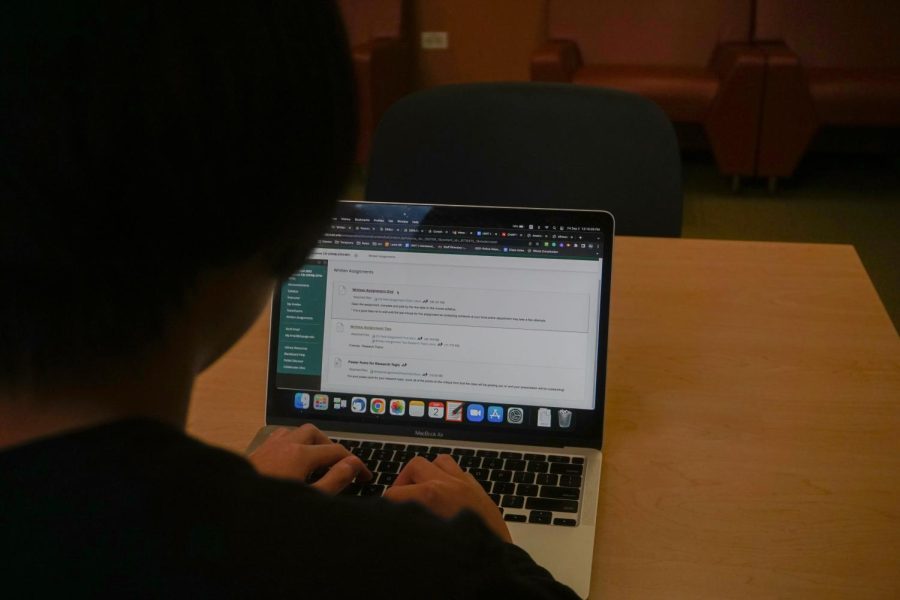 Are Online Courses Worth Taking? Heres How Students Feel.