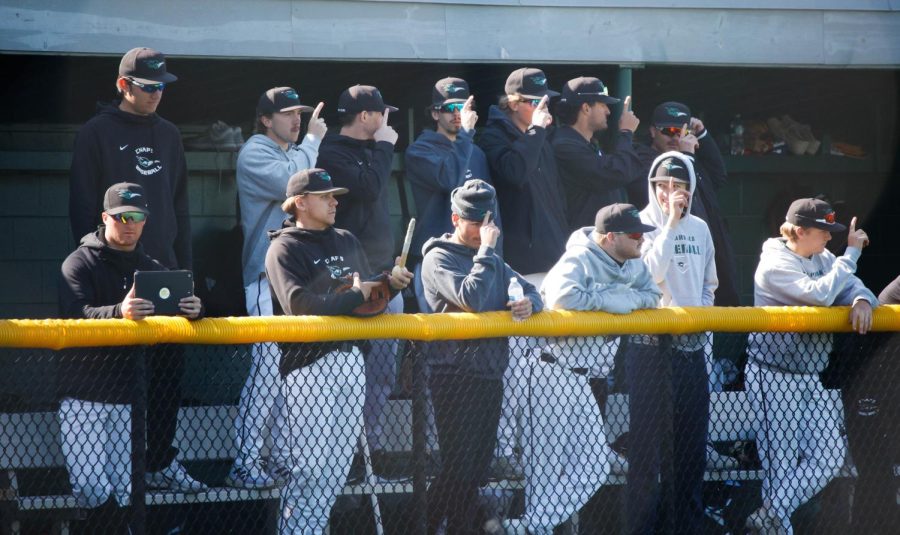 COD Baseball Prevails Against Oakton College Owls