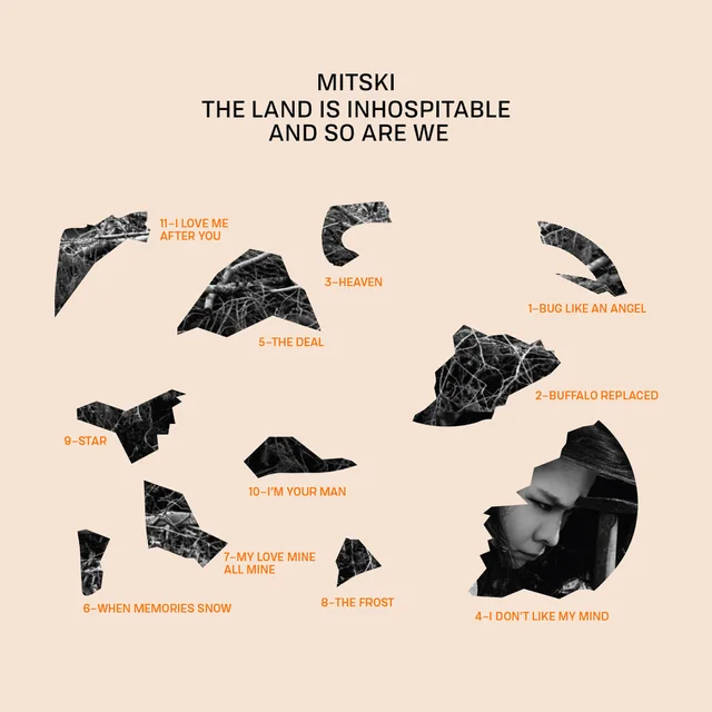 Love Your Inhospitable Lands; An Analysis of Mitskis New Album