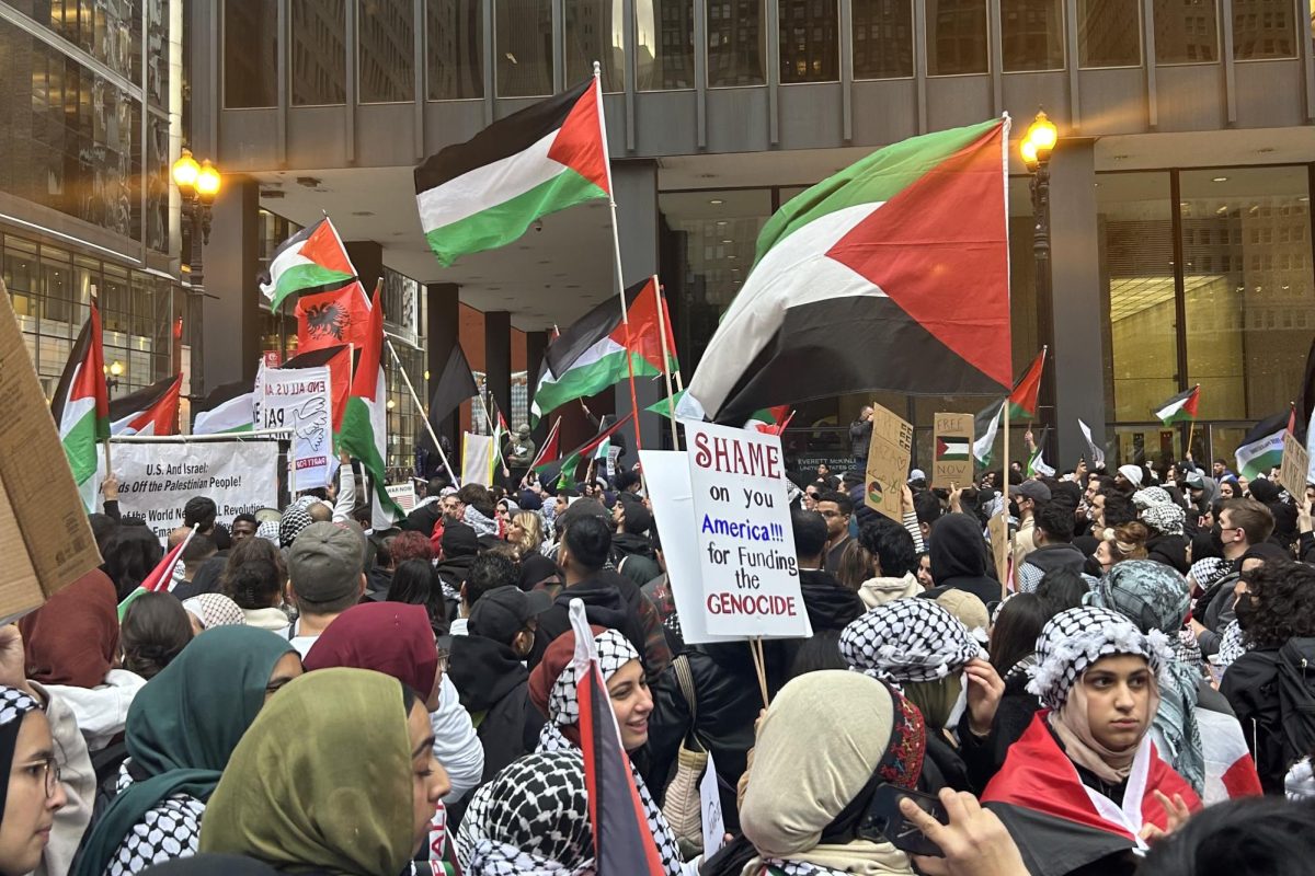 Over+400+people+protested+outside+Chicagos+Federal+Plaza+on+Oct.+18+to+show+solidarity+with+Palestine.+%28Photo+cropped+from+original+dimensions.%29