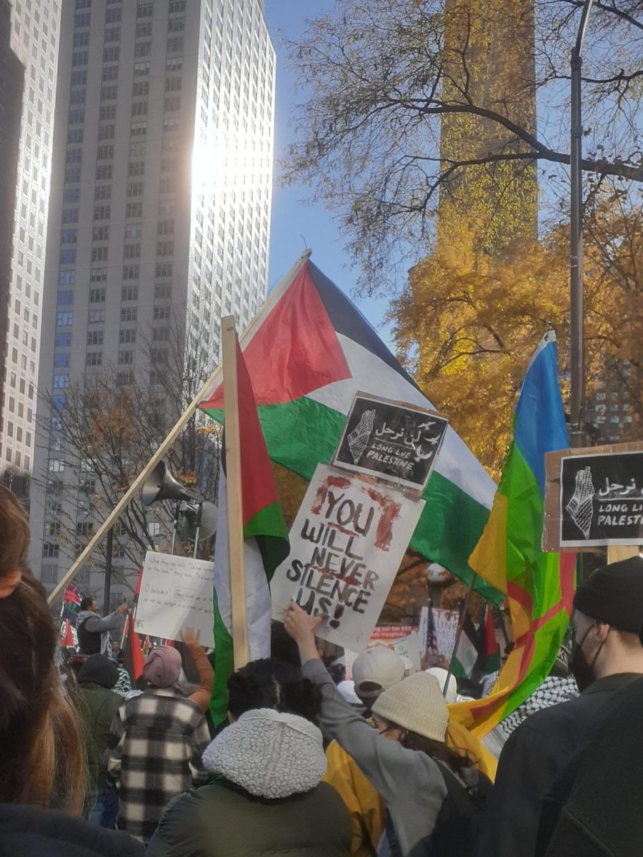 Protesters hold up flags and signs on Nov. 12 protests in favor of Palestine on Michigan Avenue in Chicago, IL. 