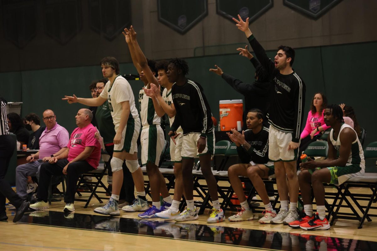 The COD mens basketball team cheers from the sidelines. 