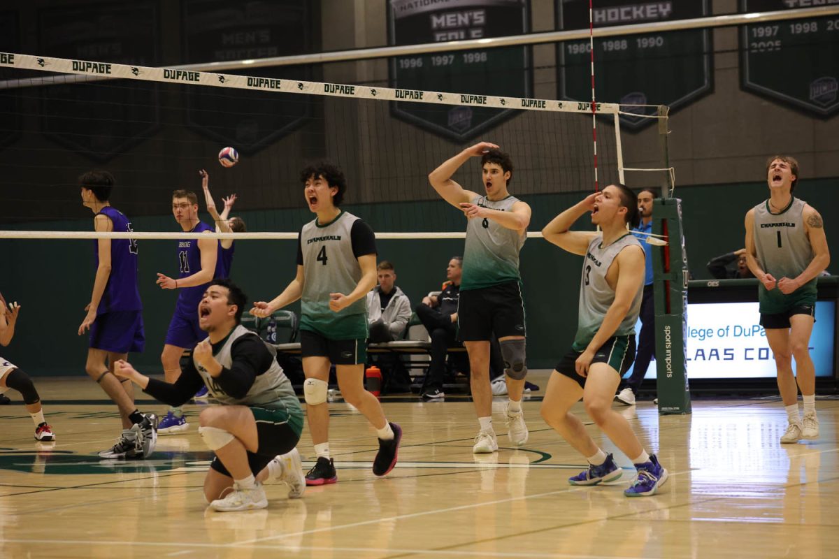 The COD mens volleyball team celebrates after scoring a point. 