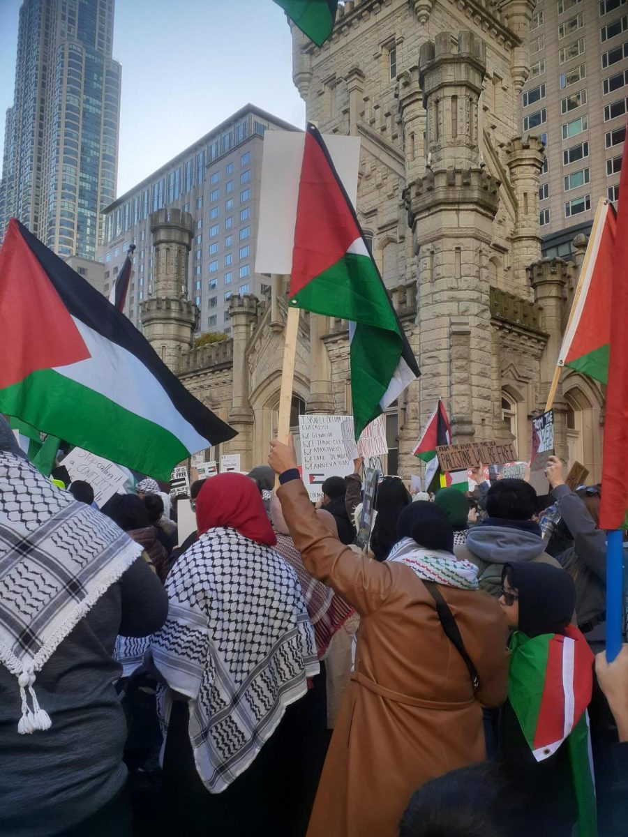 Demonstrators hold Palestinian flags at a Nov. 12 protest on Michigan Avenue in Chicago, IL. 