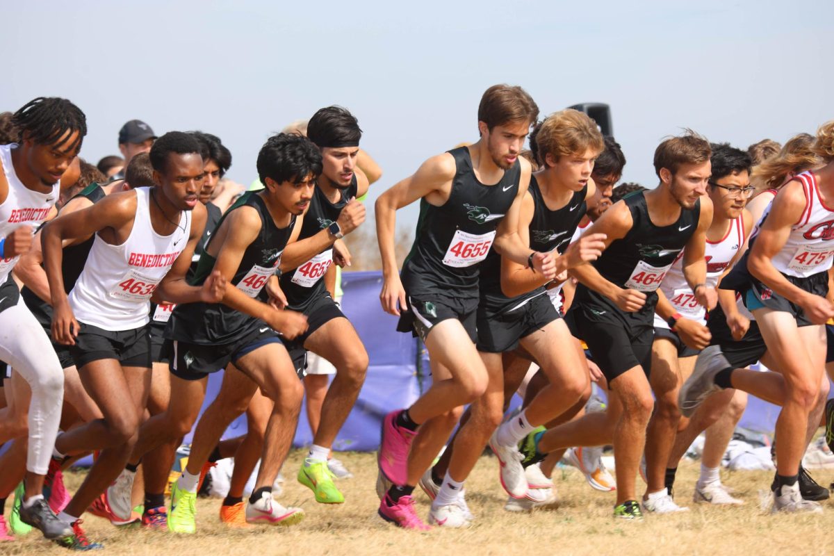 The men's cross country team run from the starting line. 