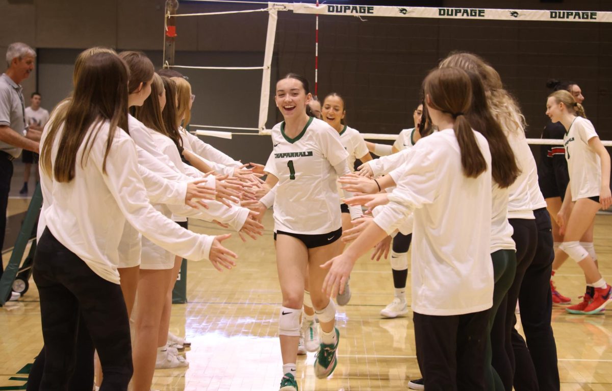 The Downers Grove North girl's volleyball team cheers for COD women's volleyball before the game. 