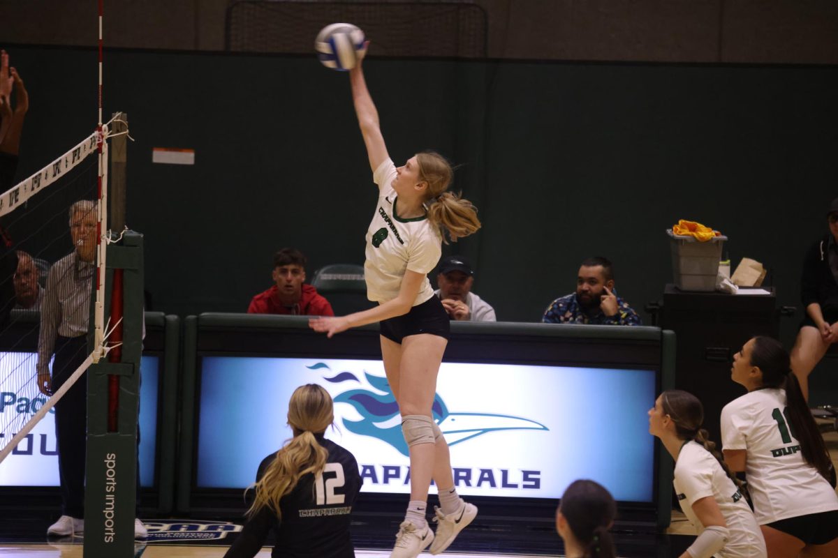 Sophomore middle hitter Josephine Becker spikes the ball. 