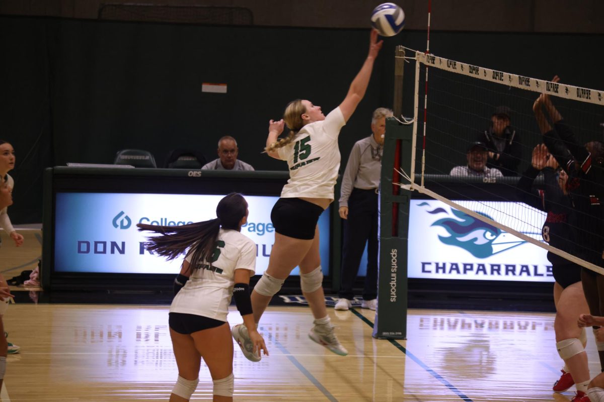 Sophomore middle hitter Jillian Ross spikes the ball. 