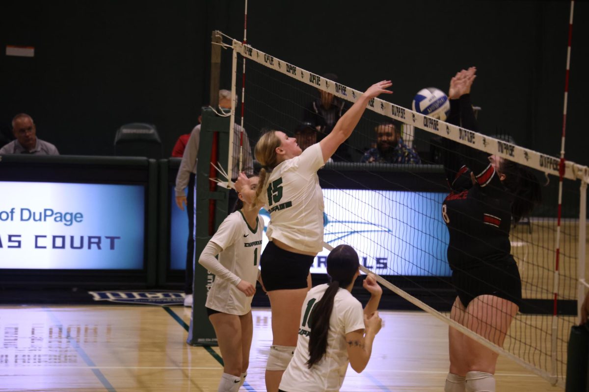 Sophomore middle hitter Jillian Ross spikes the ball. 