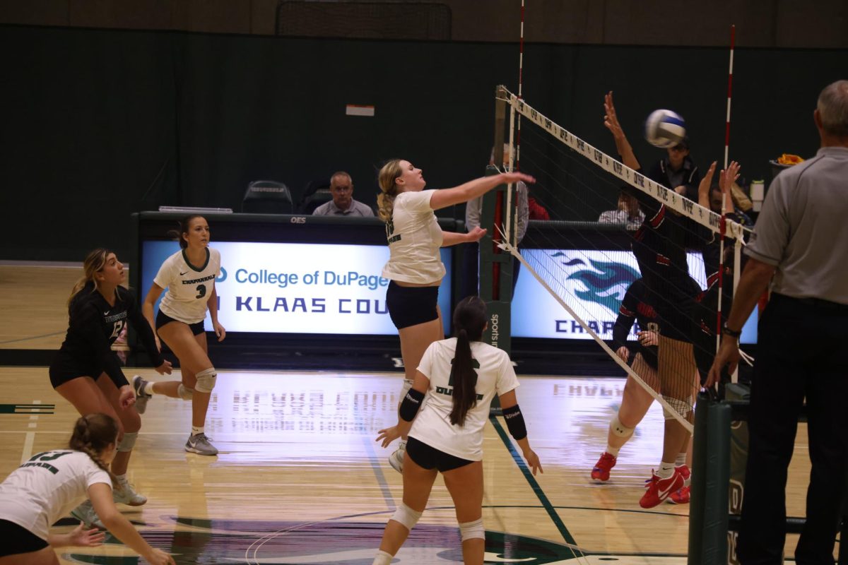 Sophomore middle hitter Jillian Ross spikes the ball. 