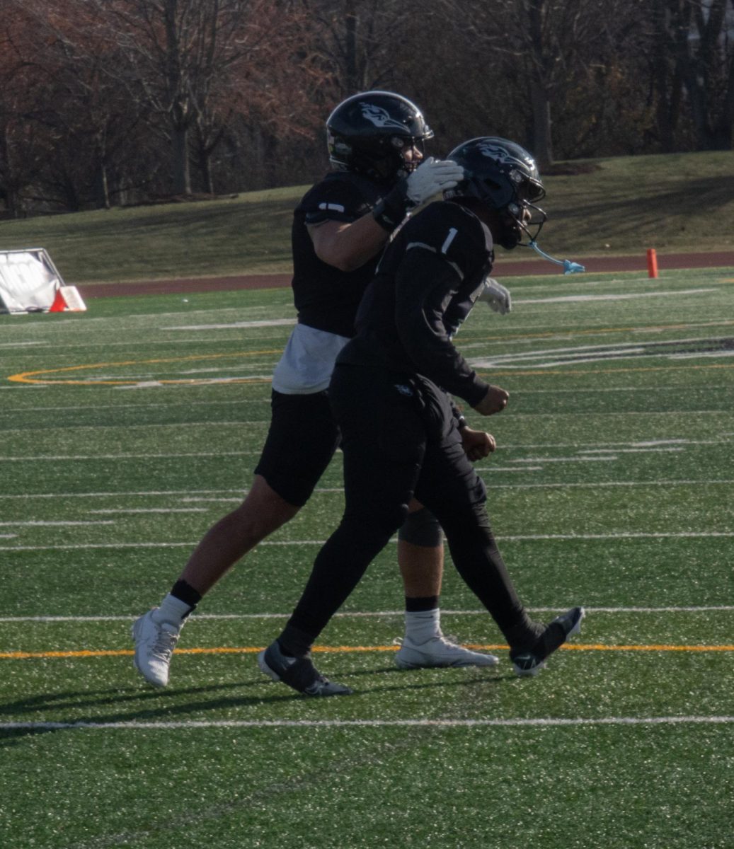 The COD football team celebrates after scoring a touchdown.