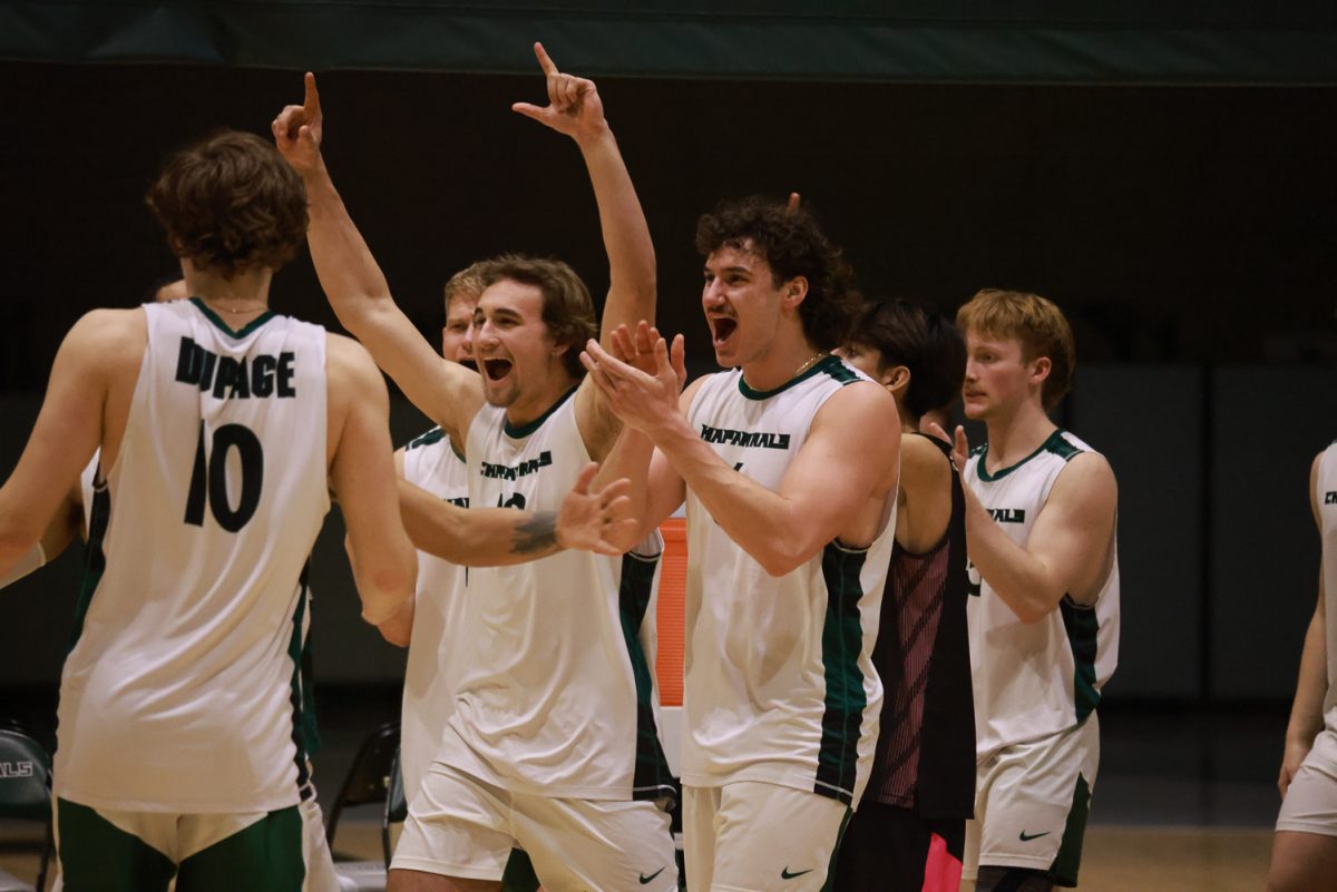 The COD men's volleyball team celebrates after scoring. 