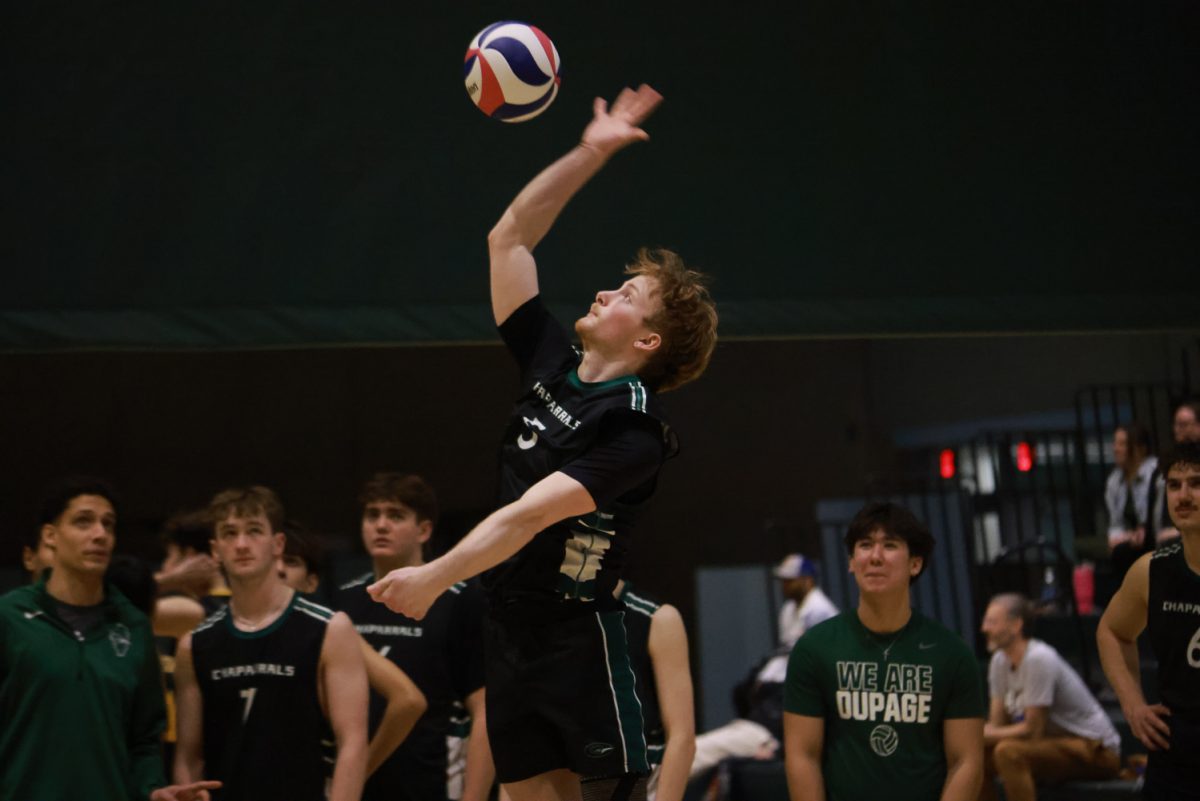 Freshman outside hitter Coady Seidler serves.