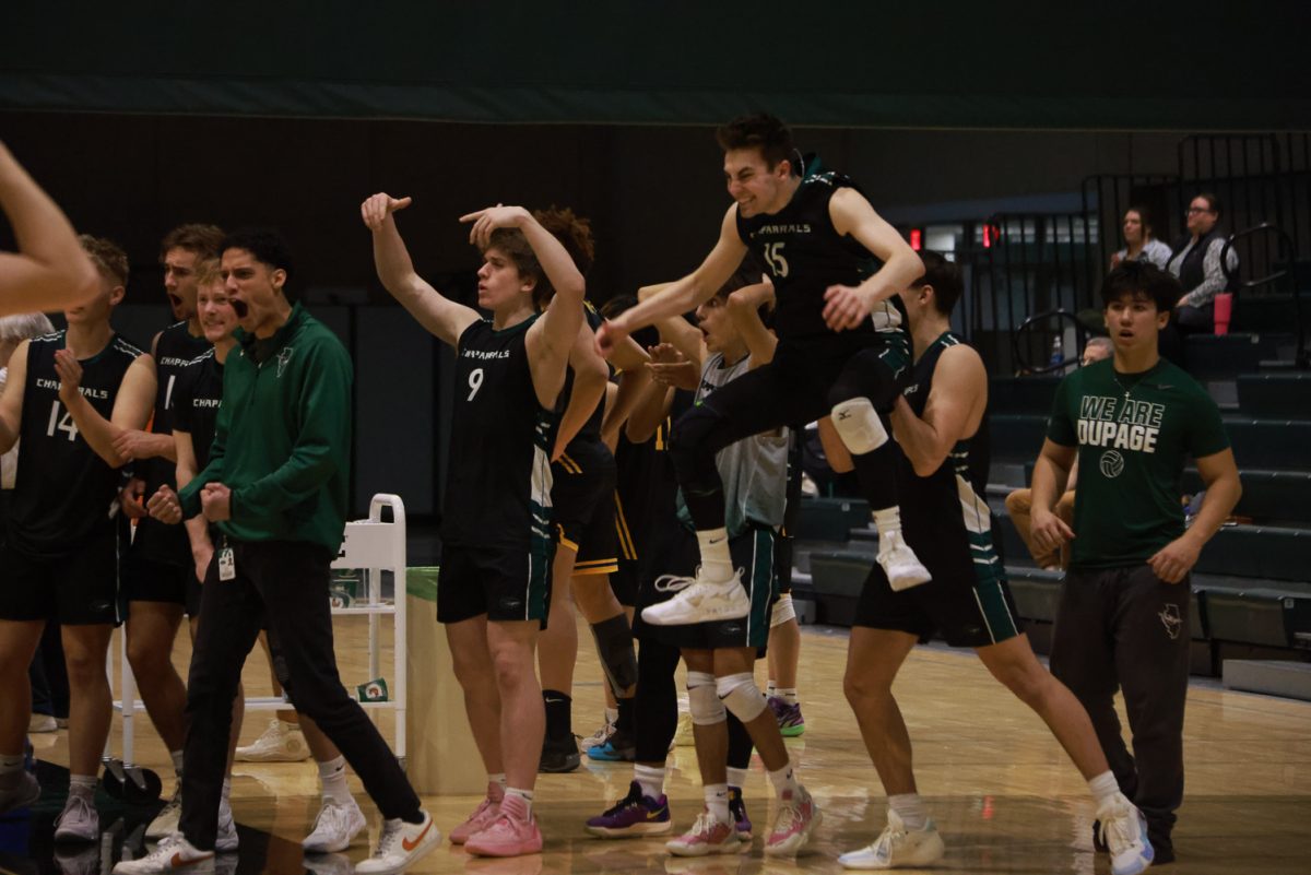 The COD men's volleyball team celebrates after scoring. 