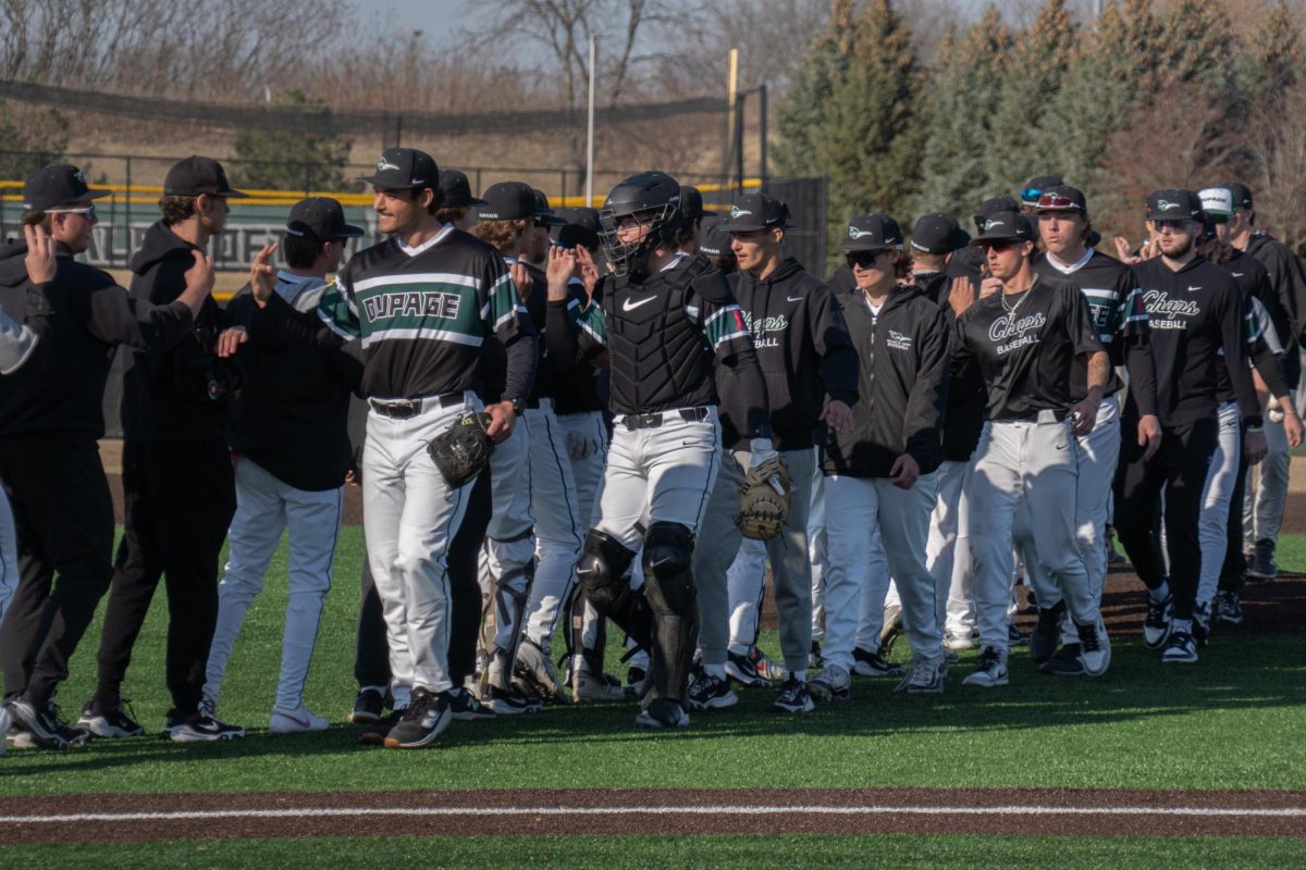 Late Inning Dramatics End in a DuPage Baseball's Win