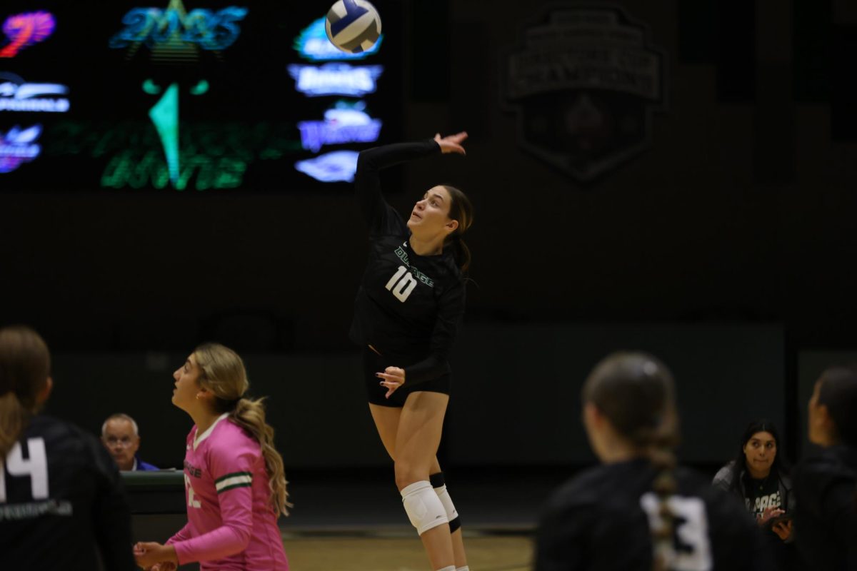 Sophomore Alexandra Hornbogen spikes the ball. 