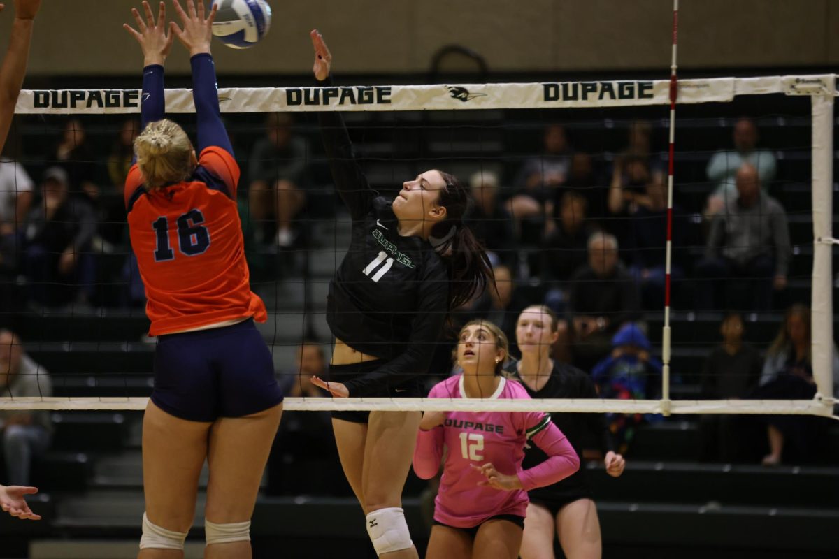 Sophomore Samantha Hornbogen spikes the ball. 