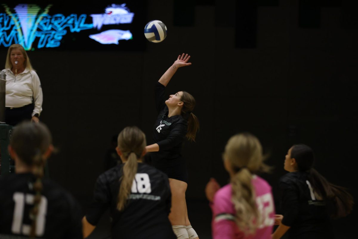 Sophomore Ella Petruczenko spikes the ball. 