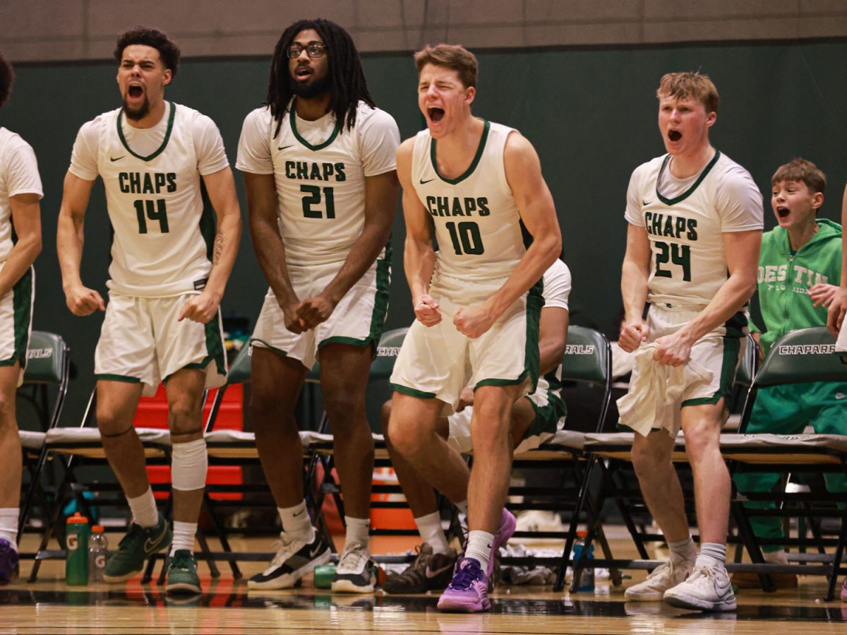 The College of DuPage basketball team cheers from the sidelines.