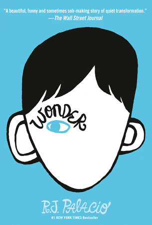 A Wonderful Summer Read: Why “Wonder” is the Perfect Read